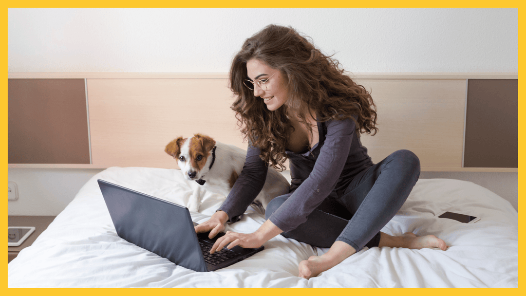 3 tips to keep your dog entertained indoors while you work from home - The Golden Bone Bakery