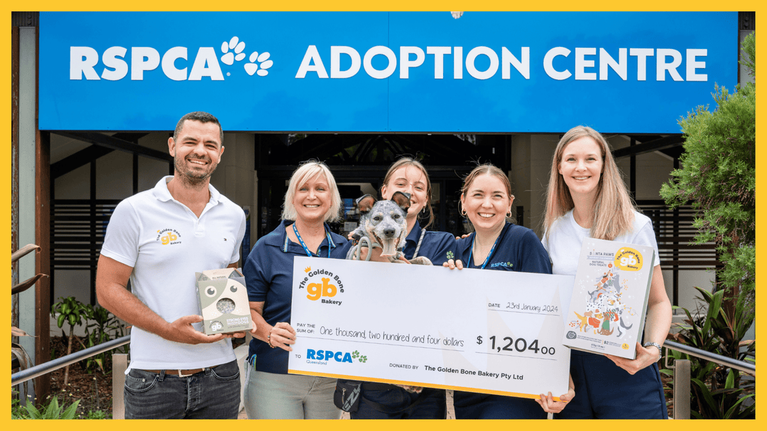 Helping the RSPCA find forever homes for pets (our Advent Calendar donation) - The Golden Bone Bakery