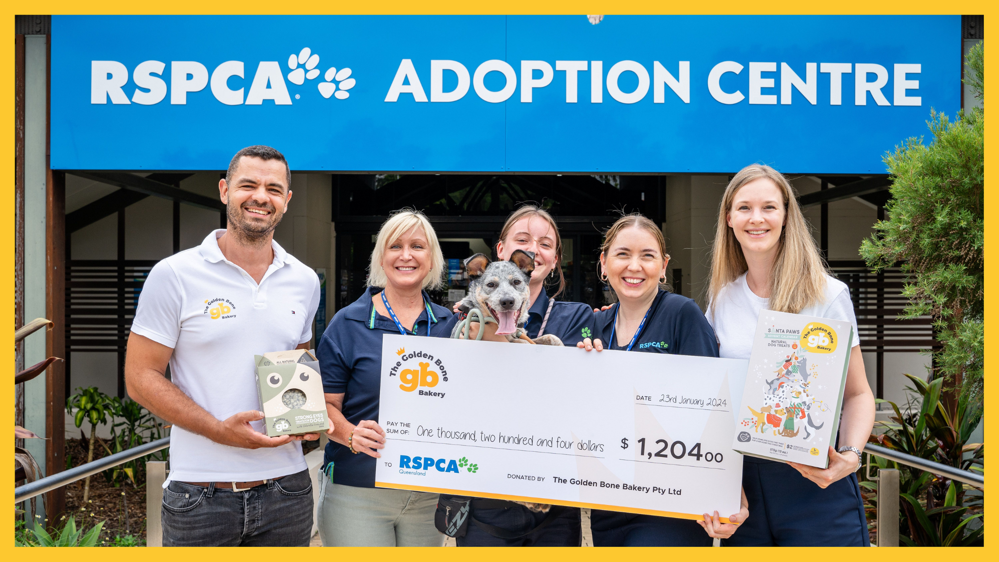 Helping the RSPCA find forever homes for pets (our Advent Calendar donation)