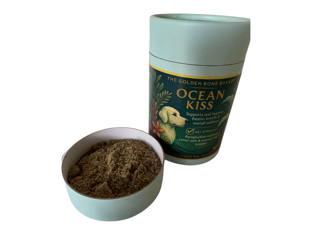 đź’™ Ocean Kiss