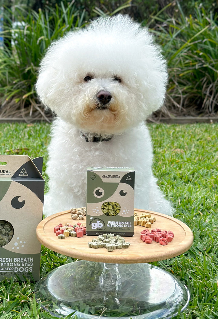 SNACK PACKS Fresh Breath Dog Treats