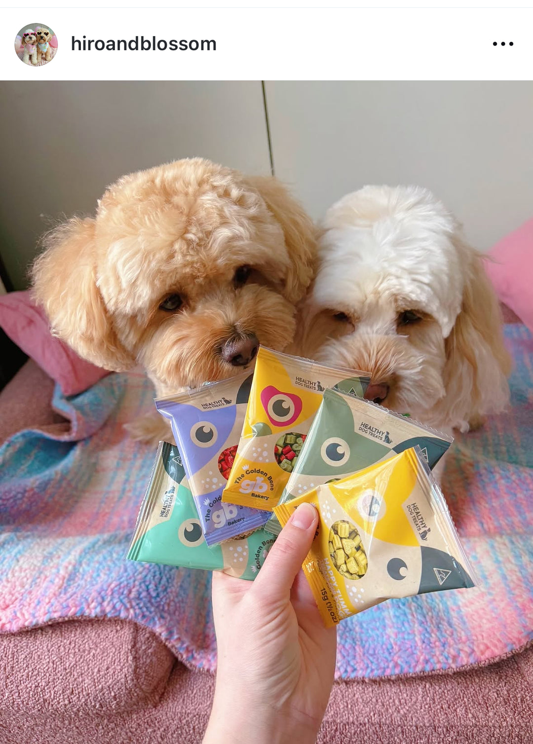 FREE Taste Testing Bundle