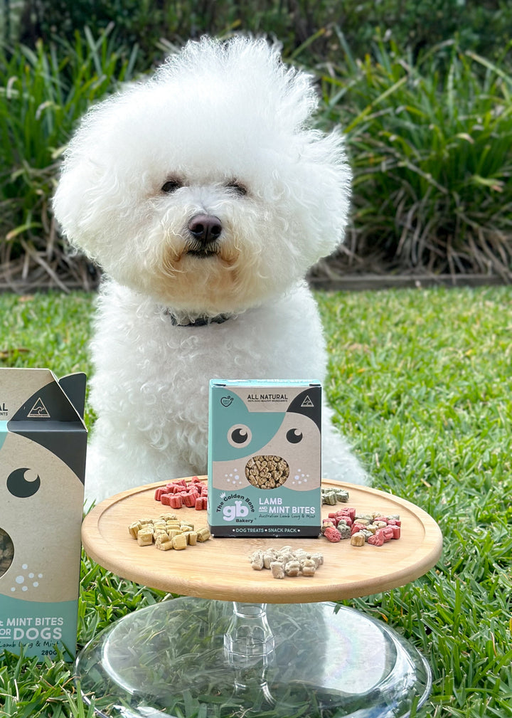 SNACK PACKS Lamb & Mint Bites Dog Treats 40g
