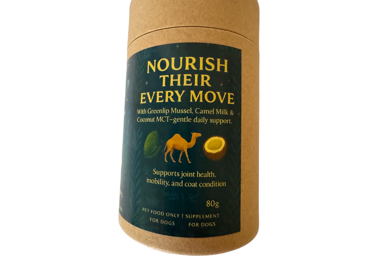 đź’š Move & Glow