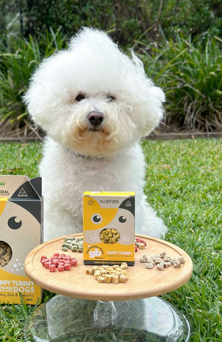 SNACK PACKS Happy Tummy Dog Treats