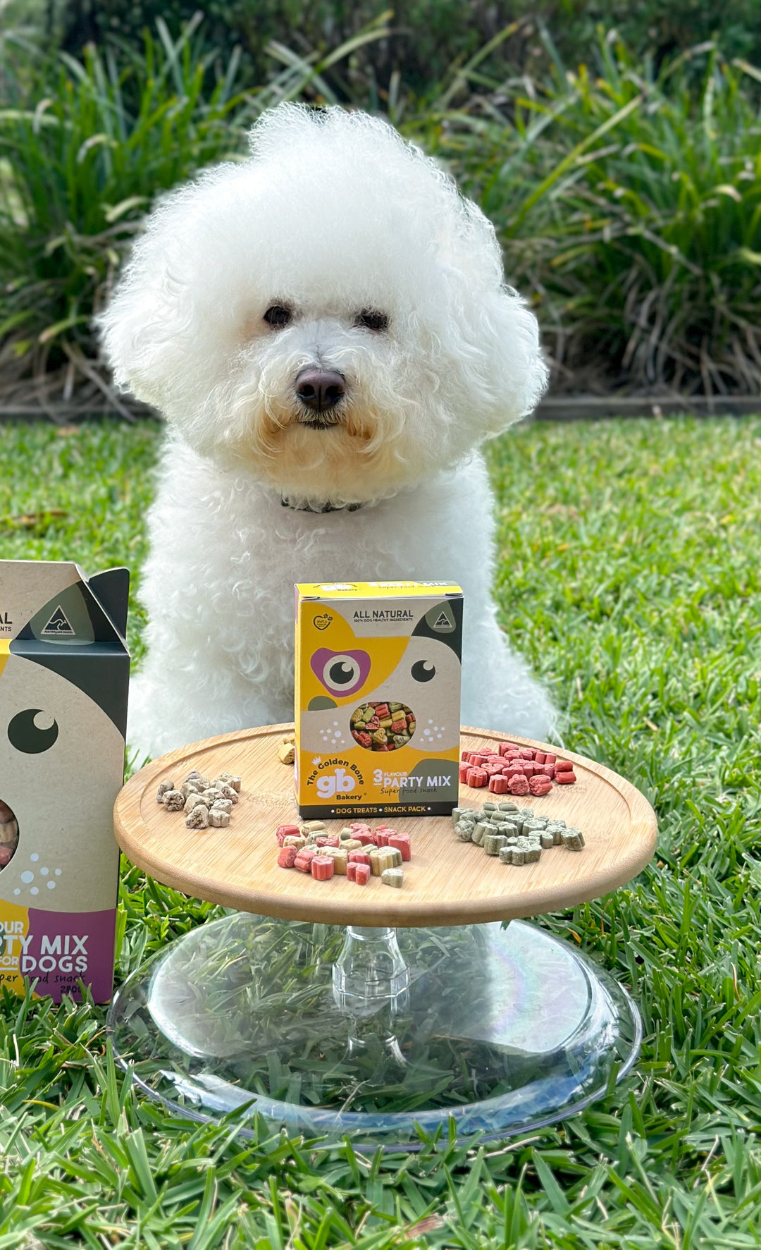 SNACK PACKS 3 Flavour Party Mix Dog Treats