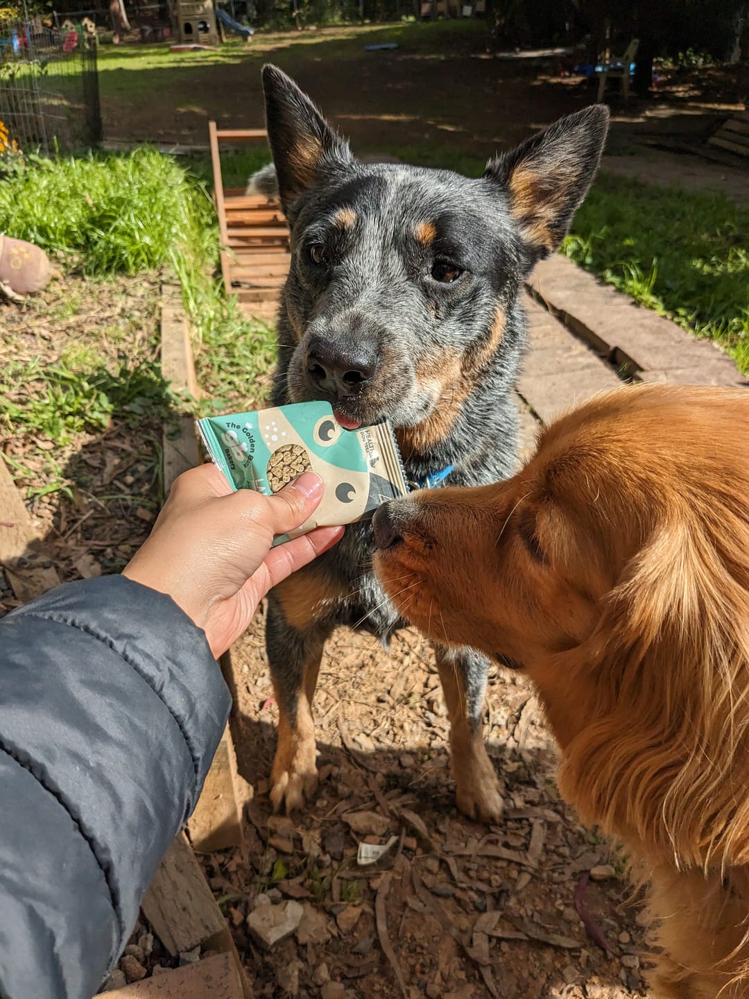 FREE Taste Testing Bundle