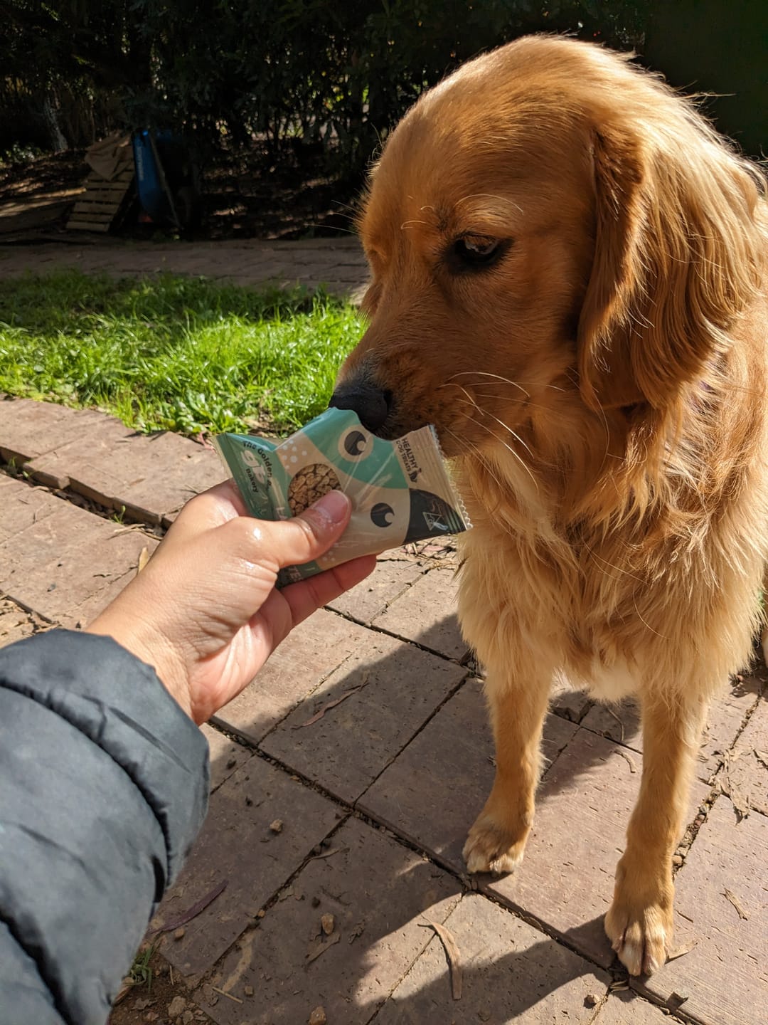 FREE Taste Testing Bundle