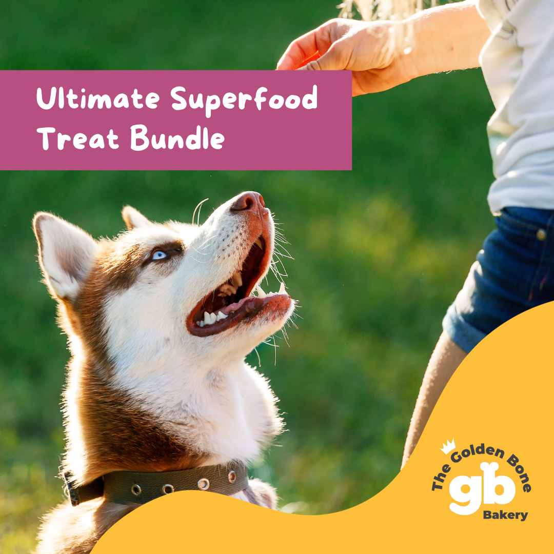 Buy Awesome Superfood Dog Treat Bundle at The Golden Bone Bakery