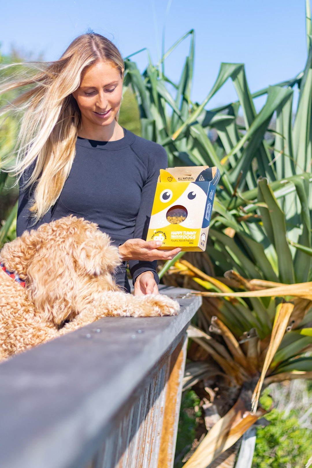 Buy Chew - tastic Dog Treats Bundle at The Golden Bone Bakery