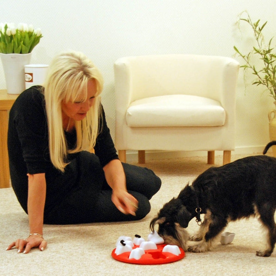 Buy Dog Smart Puzzle by Nina Ottosson at The Golden Bone Bakery