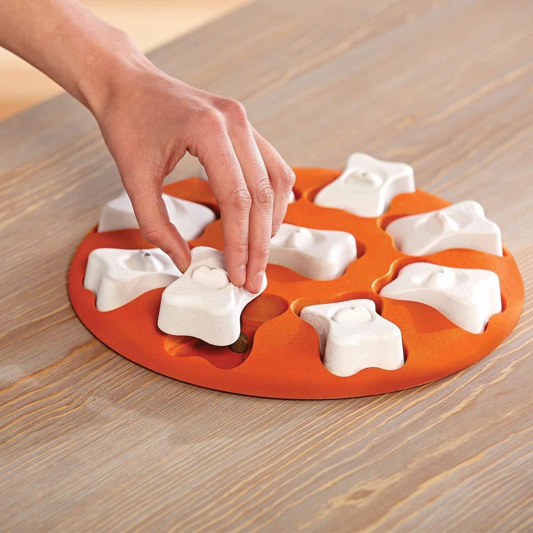 Buy Dog Smart Puzzle by Nina Ottosson at The Golden Bone Bakery