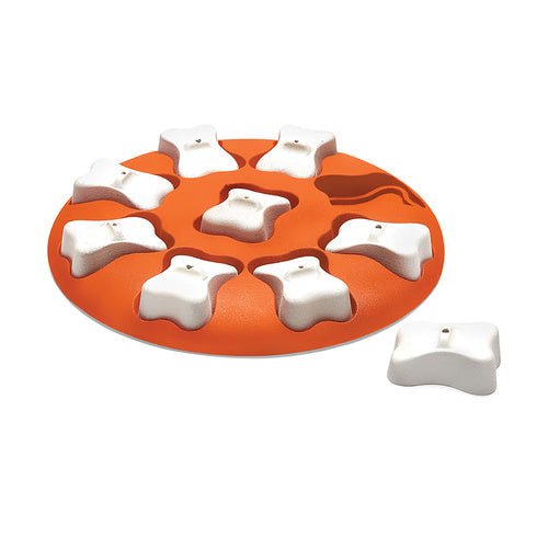Buy Dog Smart Puzzle by Nina Ottosson at The Golden Bone Bakery