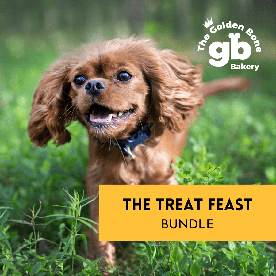 Buy Dog Treat Feast Bundle at The Golden Bone Bakery