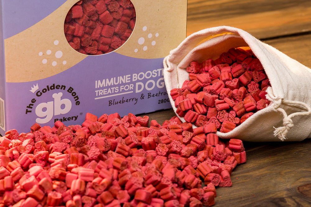 Buy Immune Booster Dog Treats with Blueberries at The Golden Bone Bakery