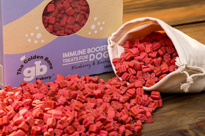 Buy Immune Booster Dog Treats with Blueberries at The Golden Bone Bakery