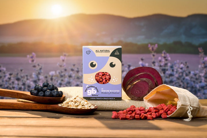 Buy Immune Booster Dog Treats with Blueberries at The Golden Bone Bakery