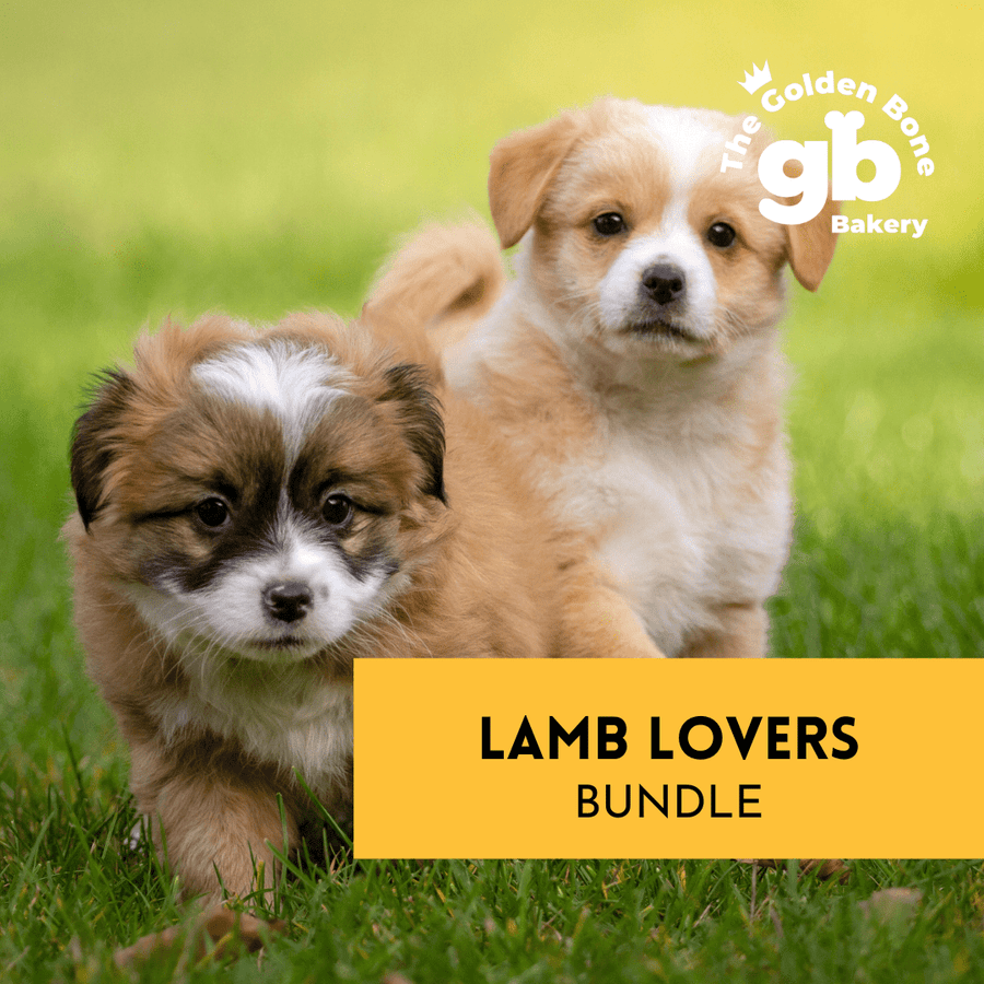 Buy Lamb Lovers Bundle at The Golden Bone Bakery