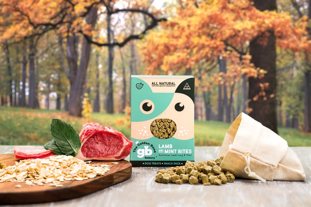 Buy Lamb & Mint Dog Treat Bites at The Golden Bone Bakery