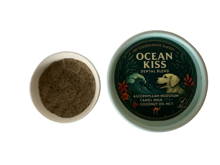 đź’™ Ocean Kiss