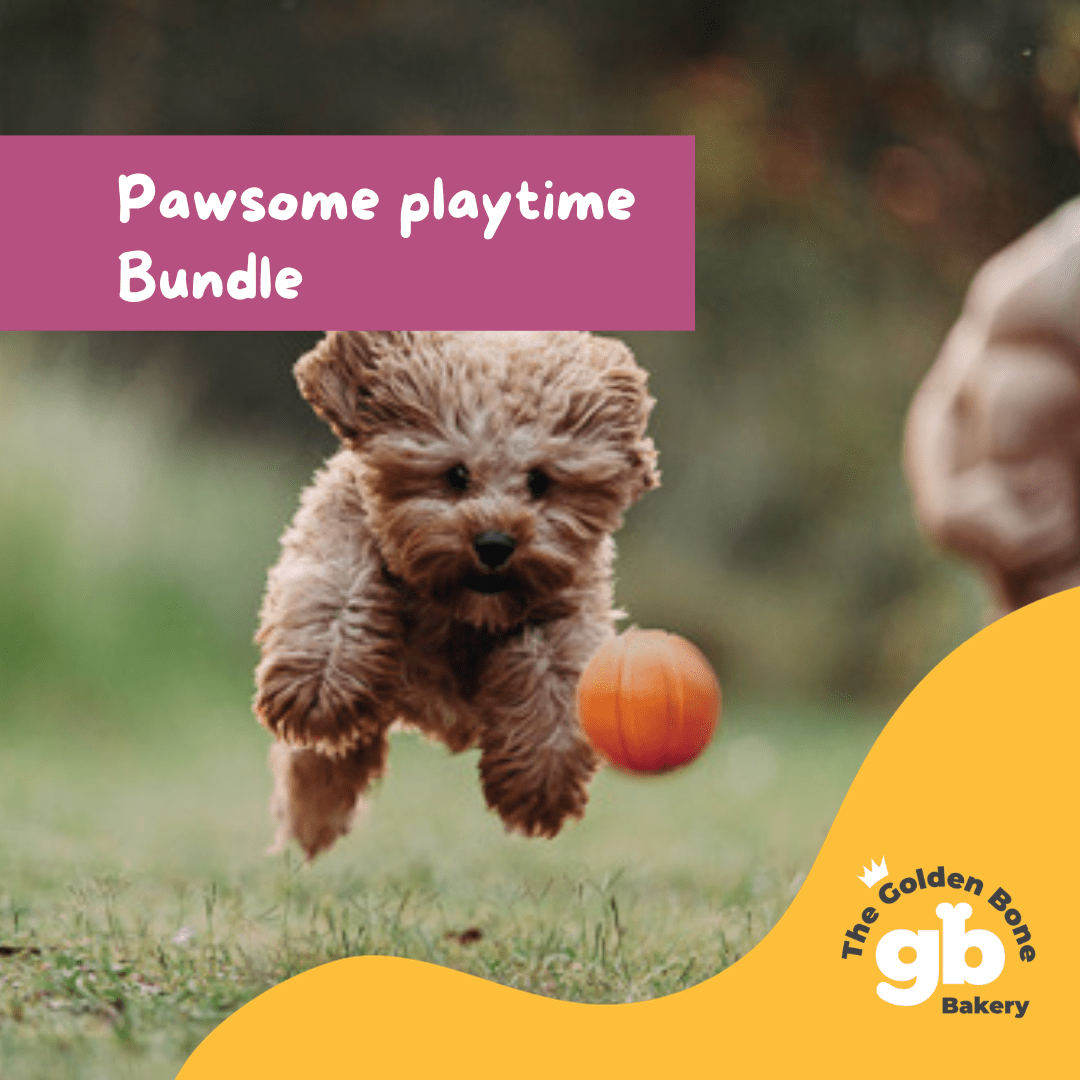 Buy Pawsome Dog Playtime Value Pack at The Golden Bone Bakery