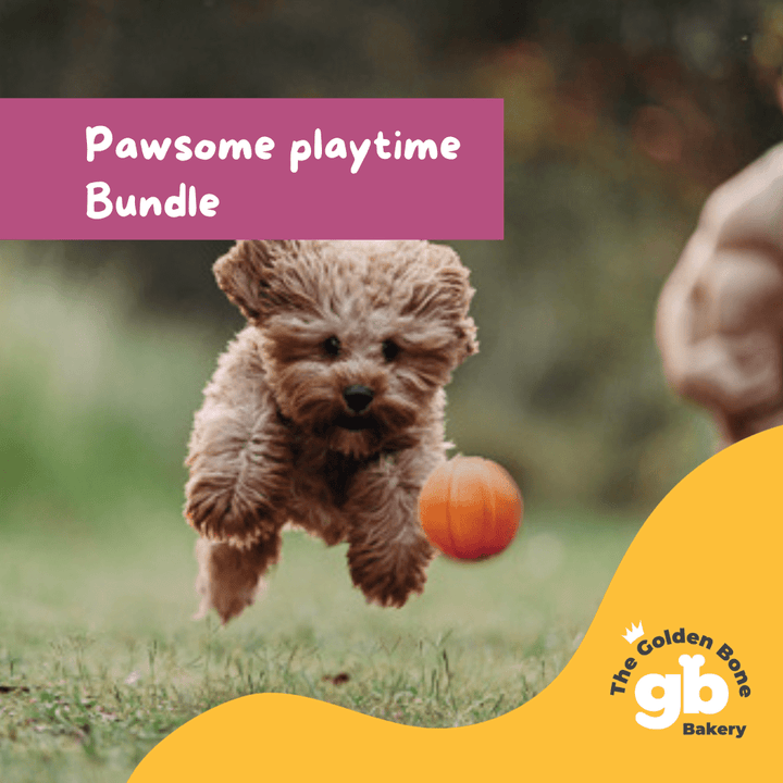 Buy Pawsome Dog Playtime Value Pack at The Golden Bone Bakery
