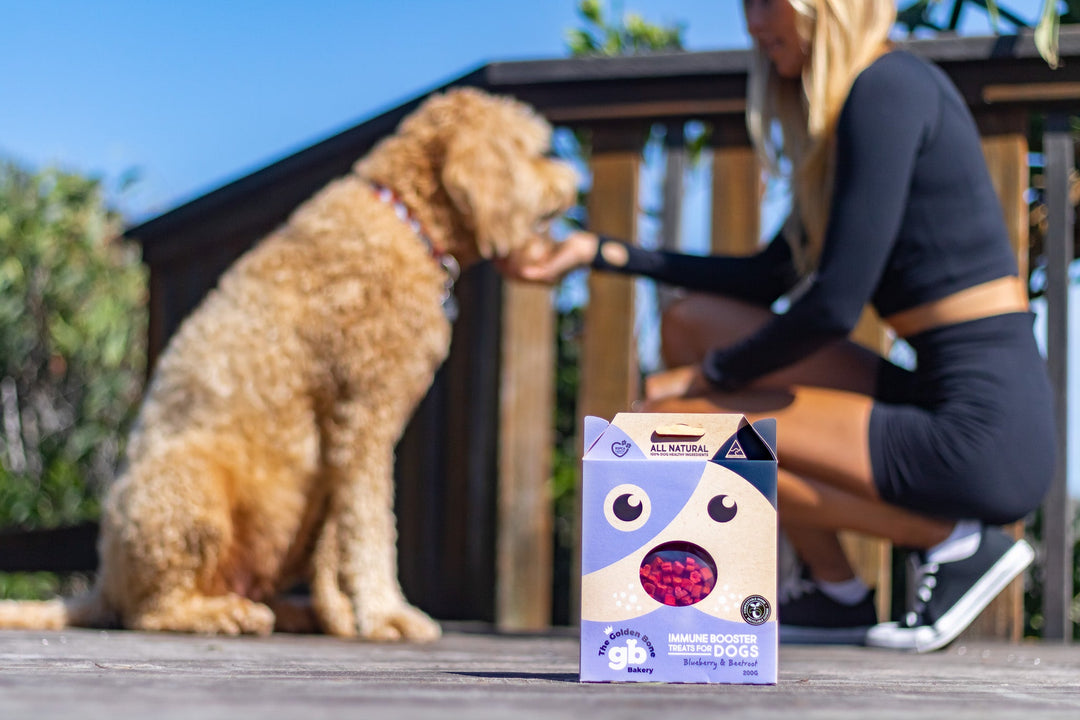 Buy Pick Me Pooch Value Pack at The Golden Bone Bakery