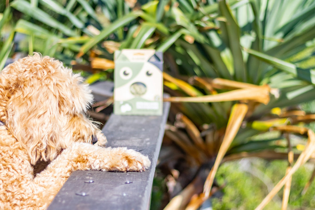 Buy Pick Me Pooch Value Pack at The Golden Bone Bakery