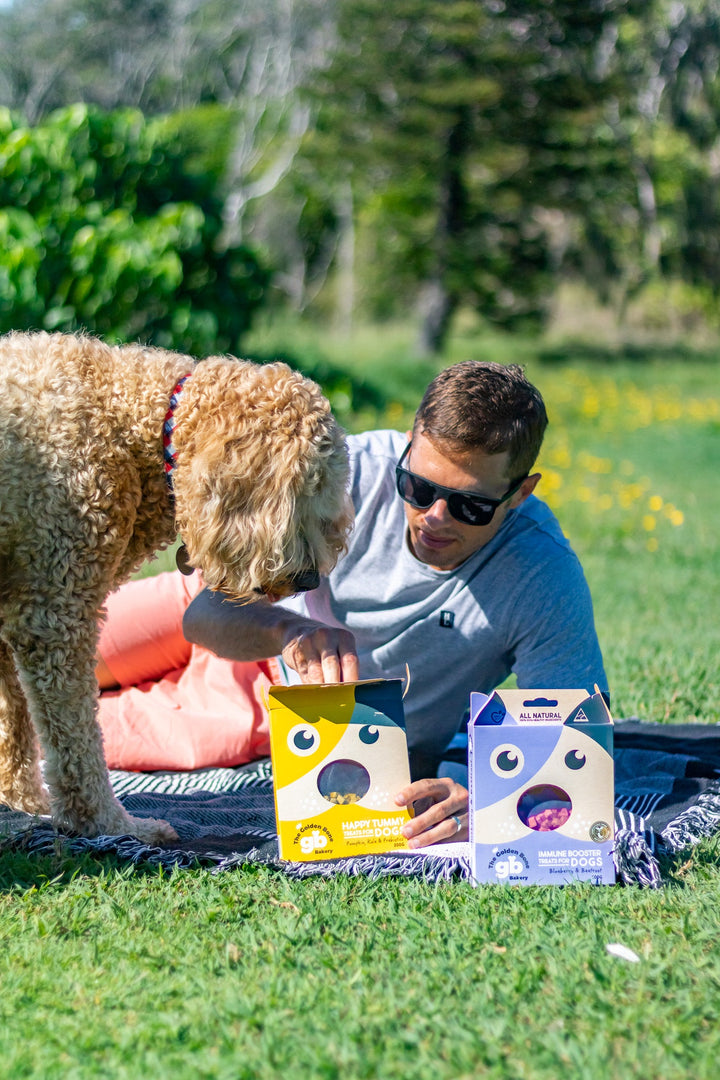 Buy Pick Me Pooch Value Pack at The Golden Bone Bakery