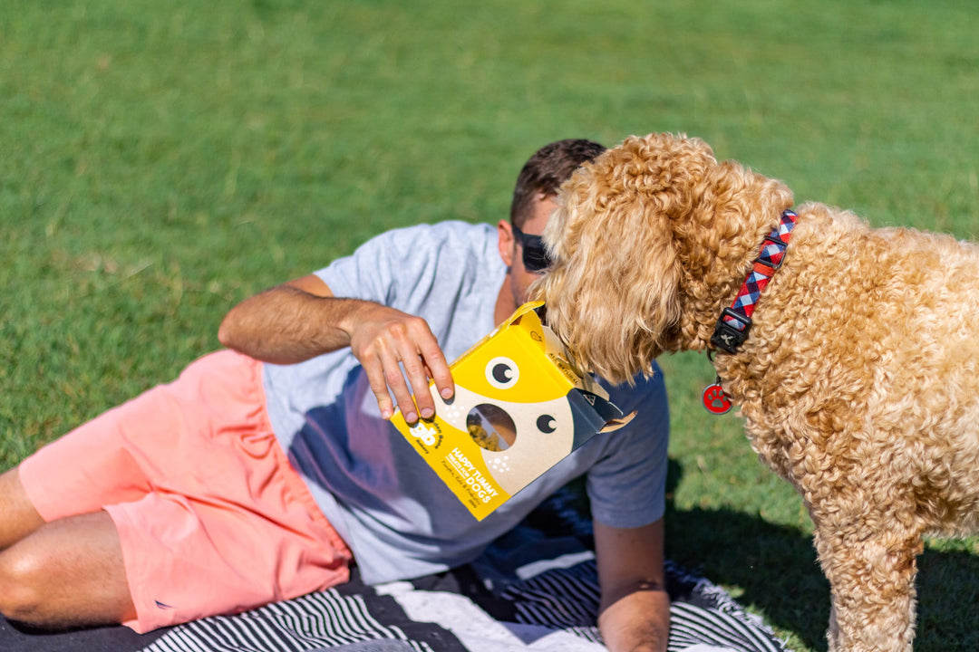 Buy Pick Me Pooch Value Pack at The Golden Bone Bakery