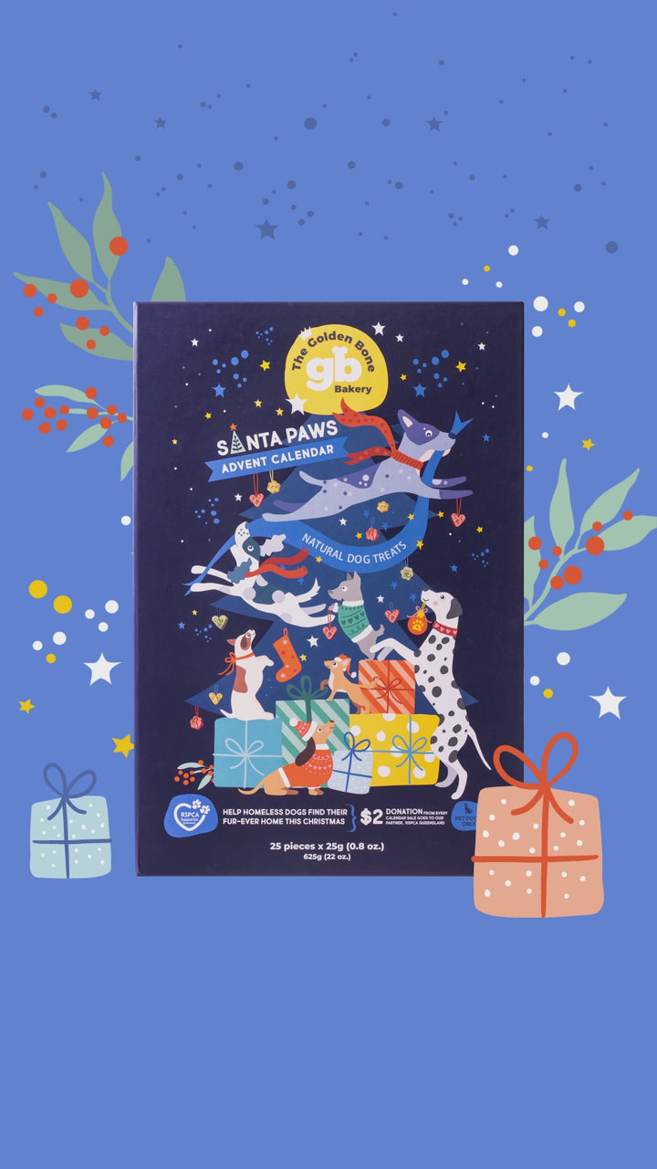 Dog Advent Calendar & Dog Christmas Treat Bundle