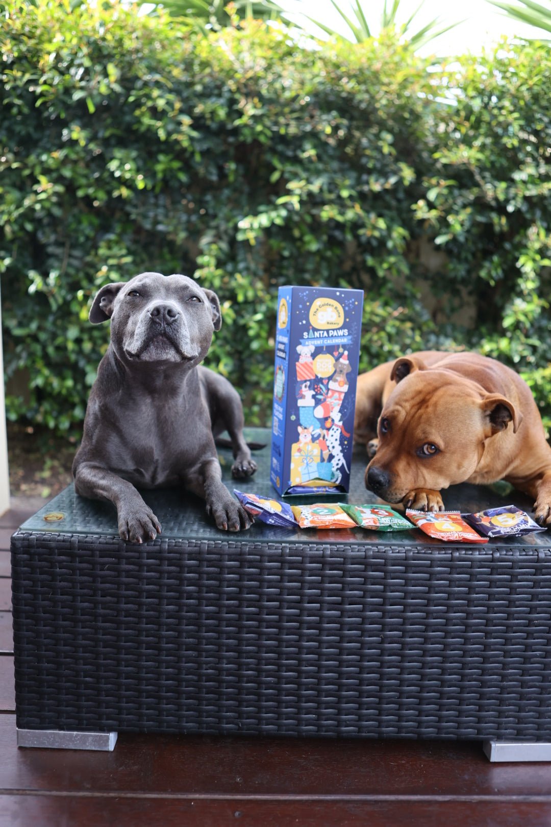 Buy Santa Paws Dog Treats Advent Calendar Christmas Tower at The Golden Bone Bakery