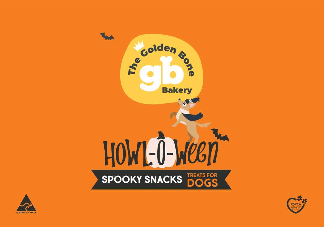 Buy Spooky Howl - o - ween Dog Treats at The Golden Bone Bakery