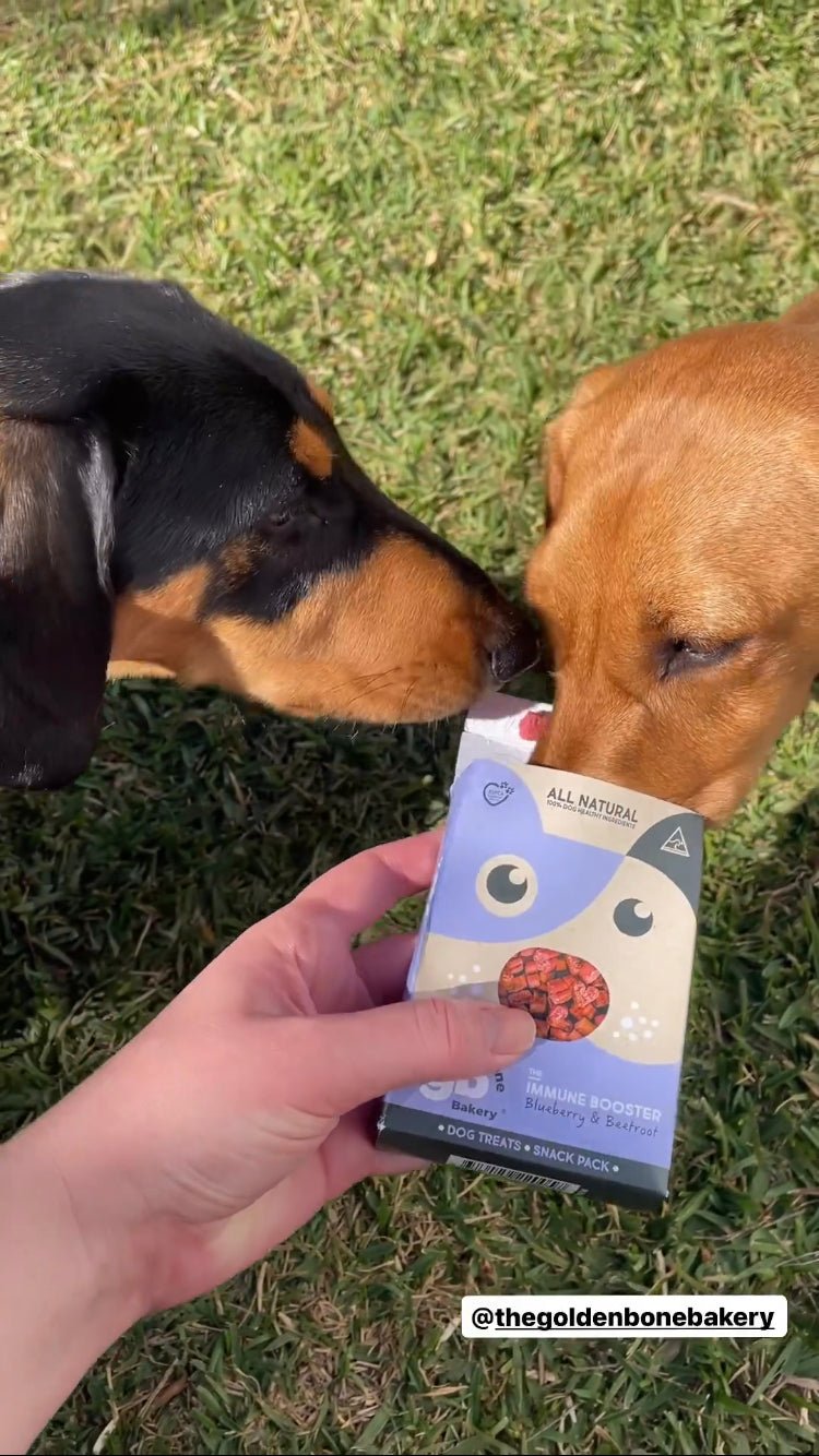 Buy Taste Testing Dog Treats Bundle at The Golden Bone Bakery