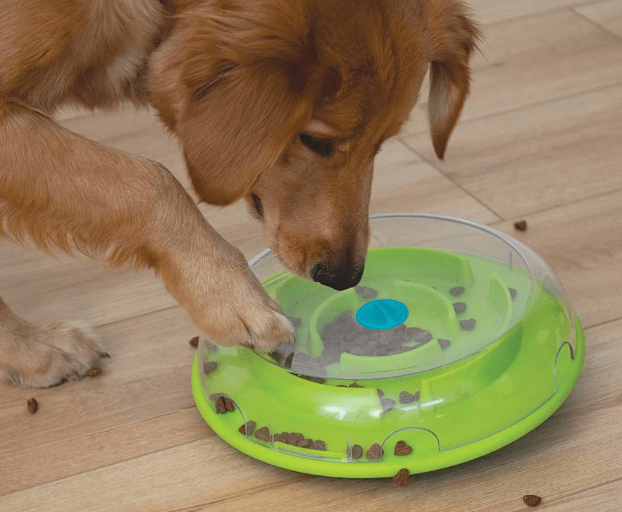 Buy Wobble Bowl by Nina Ottosson at The Golden Bone Bakery