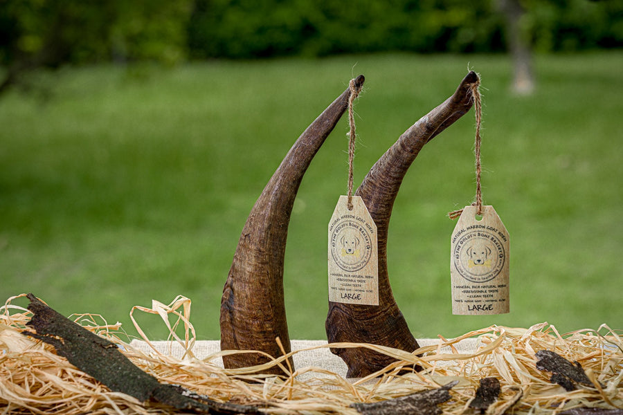 Buy Goat Horns for dogs at The Golden Bone Bakery
