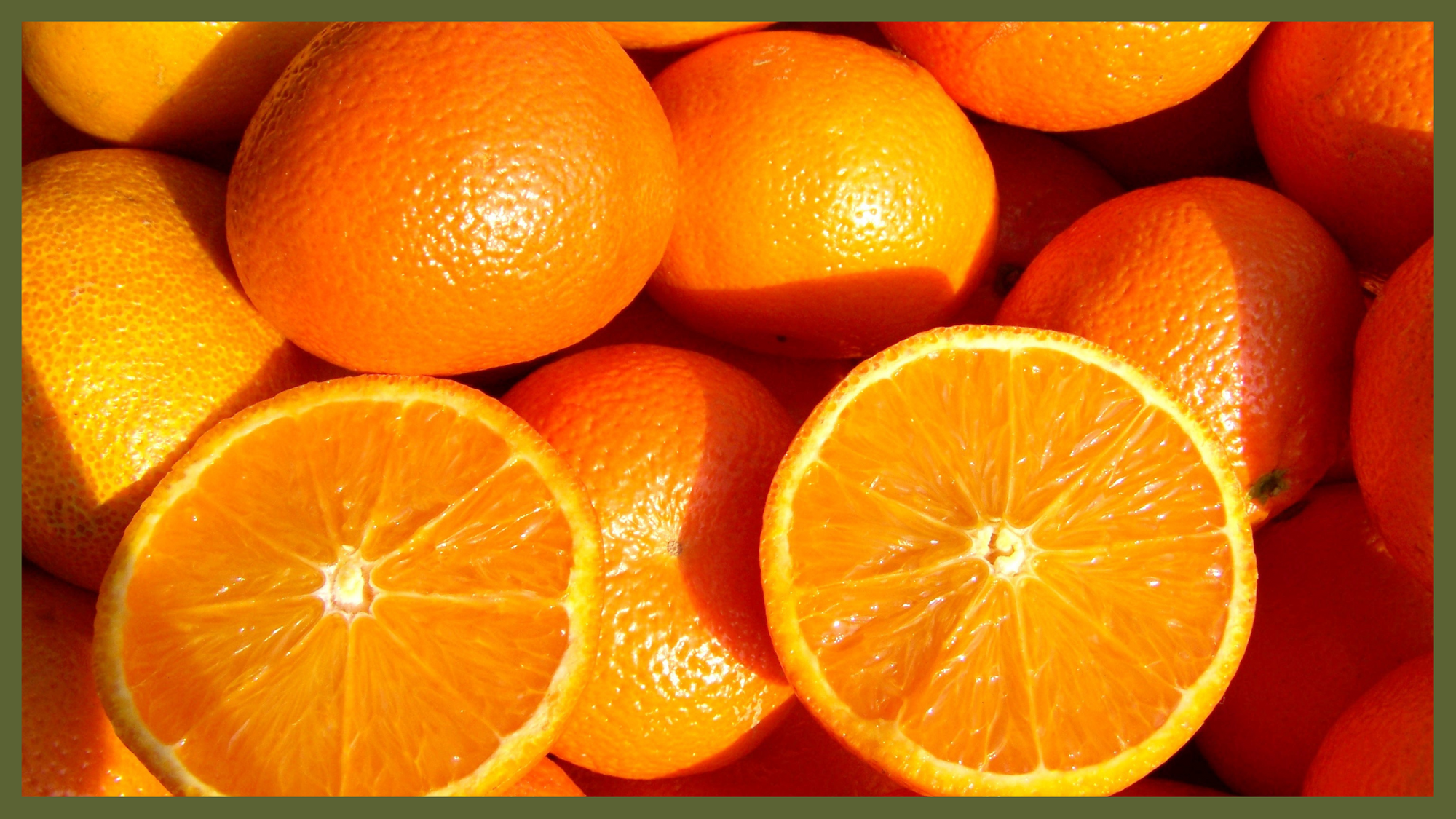 Should dogs eat oranges?