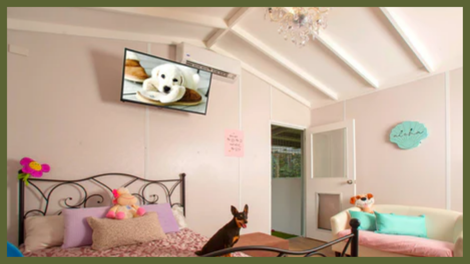 A glimpse of furbaby paradise: AAA Pet Resort on the Gold Coast