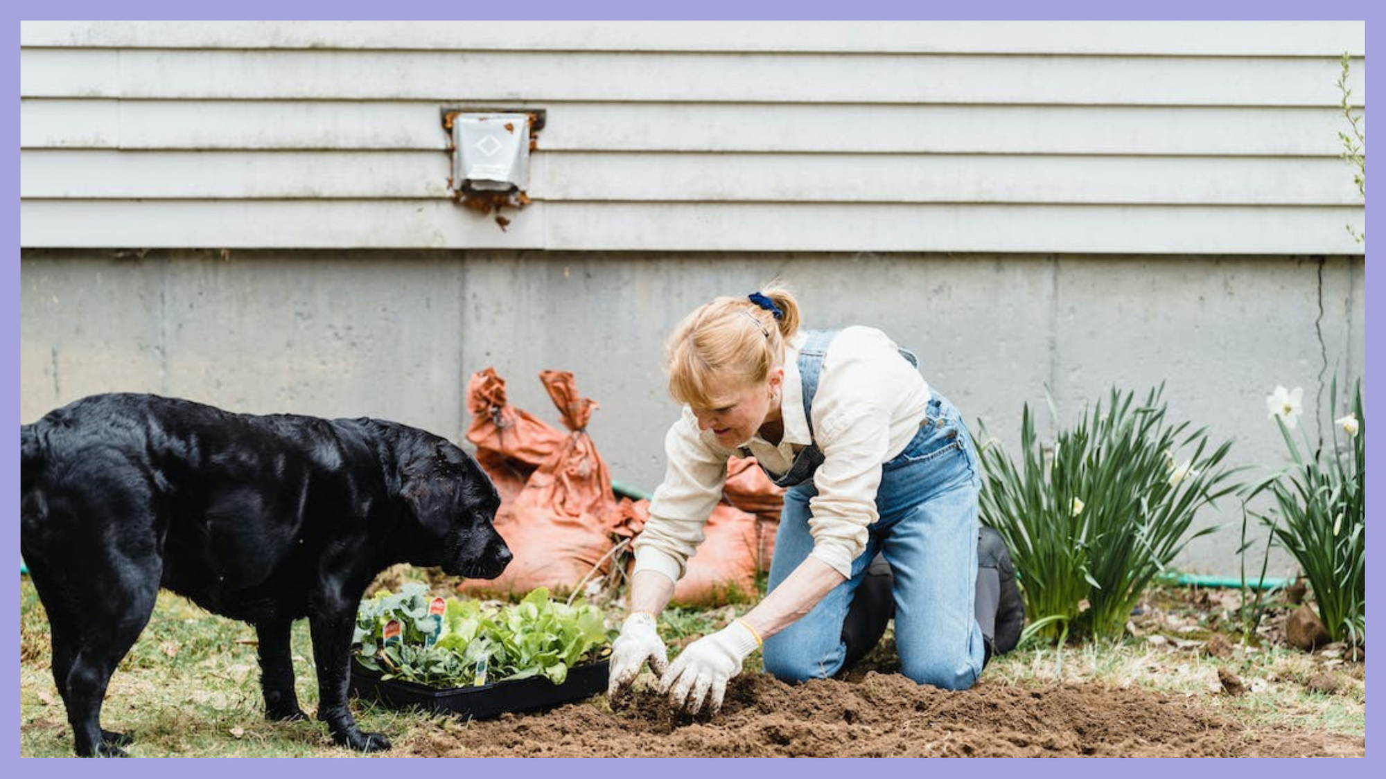 A Pet-Friendly Garden for You and Your Furry Friends