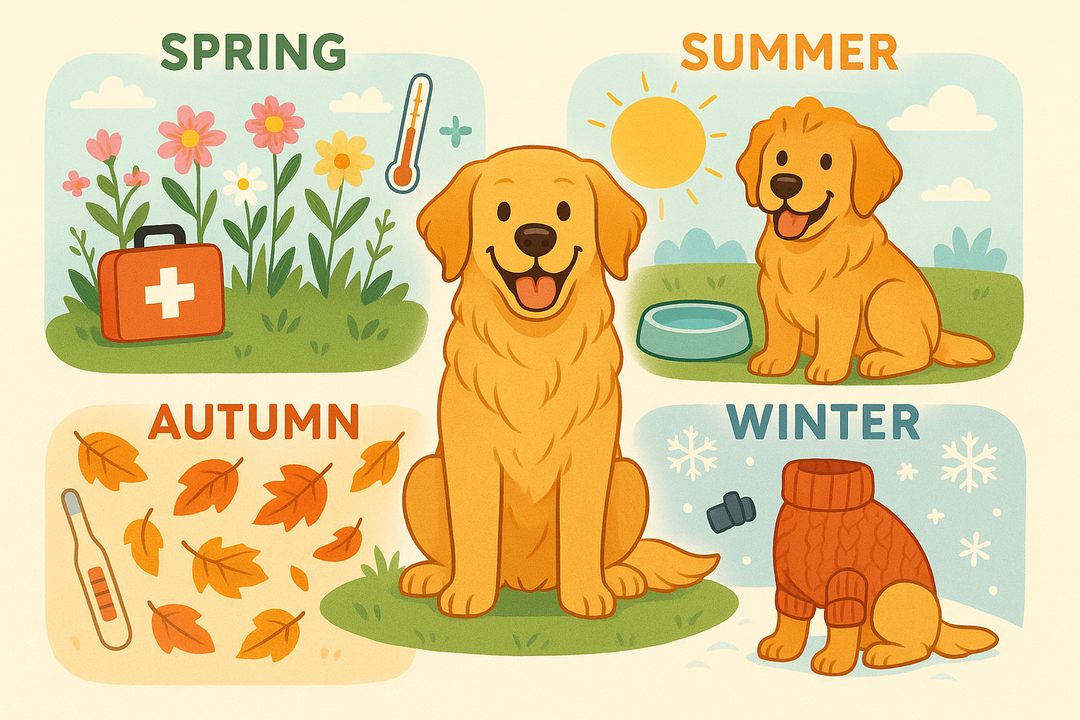 Seasonal Pet Safety for Dog Owners: Year-Round Tips