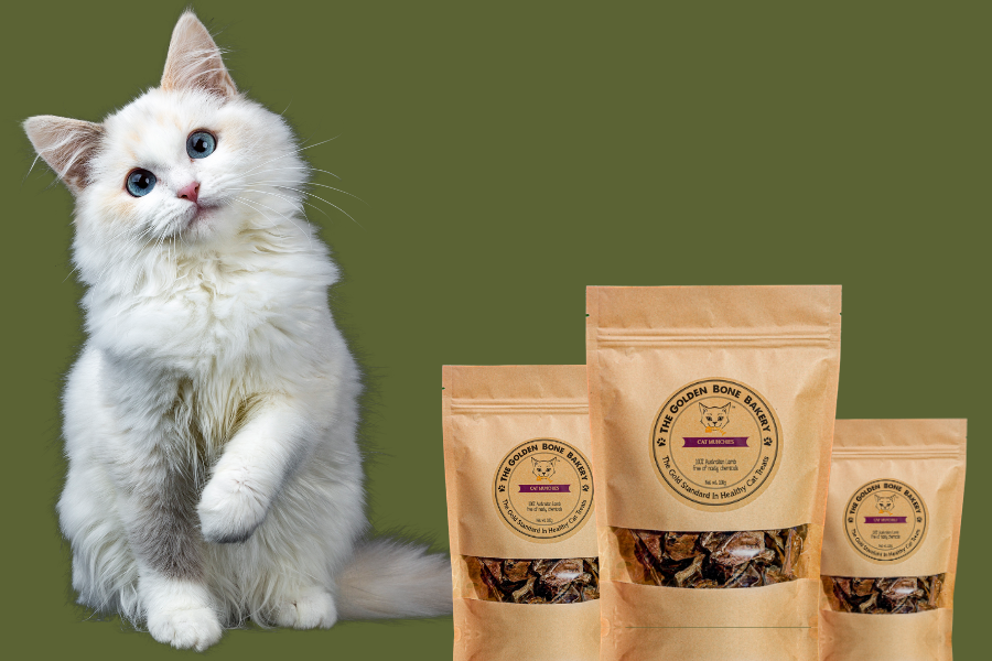 https://thegoldenbonebakery.com.au/cdn/shop/collections/Cat_Treats_-_Golden_Bone_Bakery_1600x.png?v=1619746318