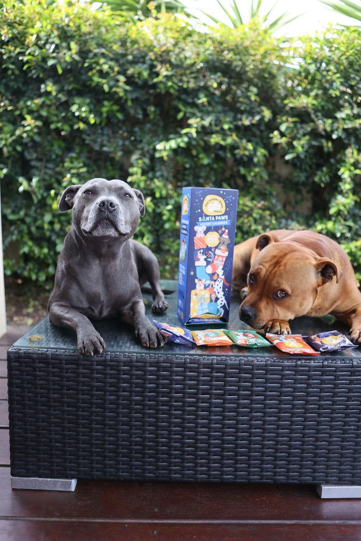 Dog Advent Calendar & Dog Christmas Treat Bundle