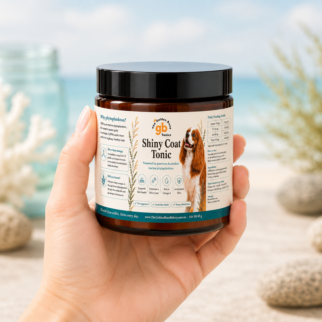 Shiny Coat Tonic | Marine Phytoplankton | Skin & Coat Supplement for Dogs