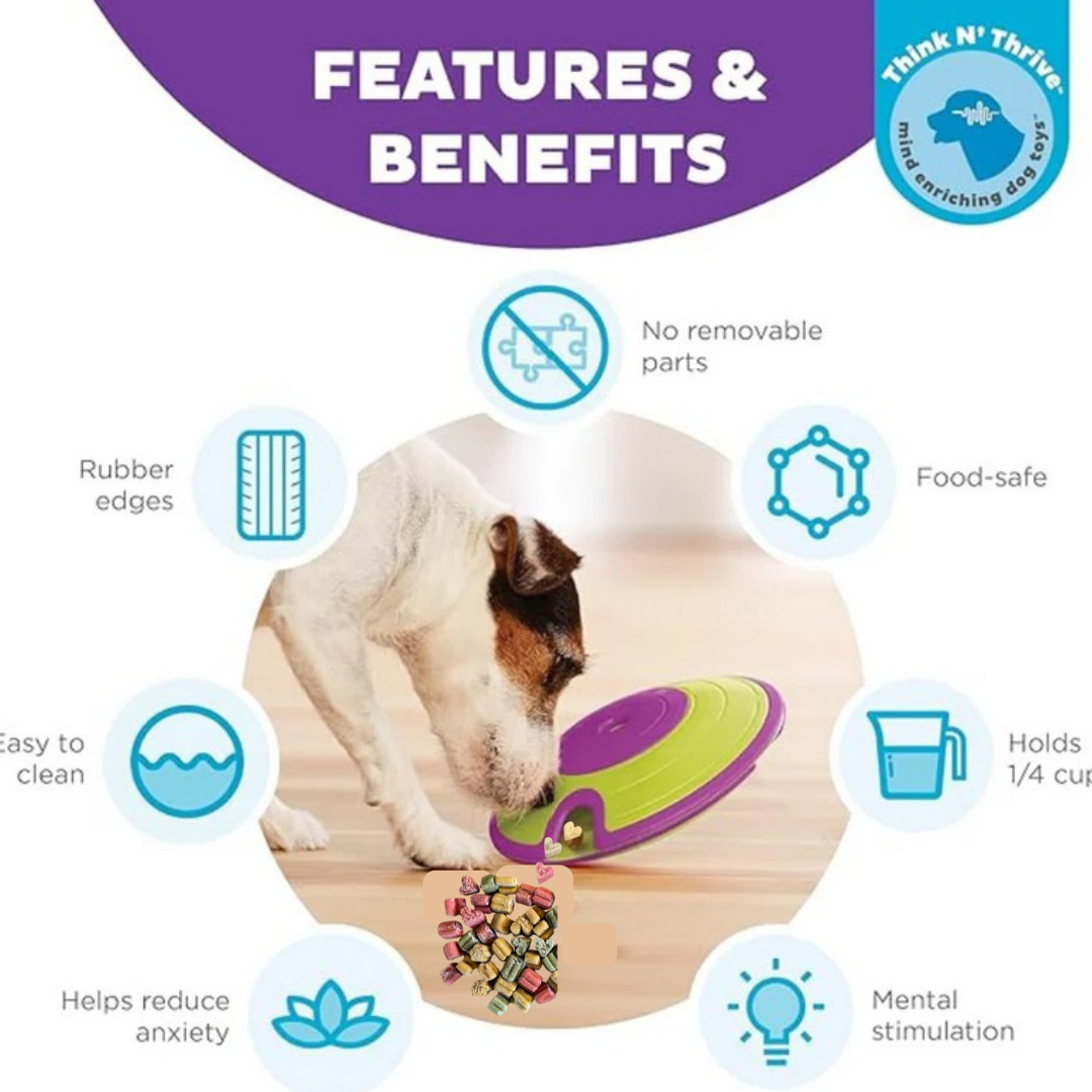 Dog Treat Maze by Nina Ottosson Level 2