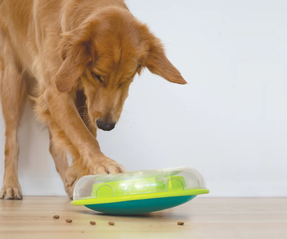 Wobble Bowl by Nina Ottosson