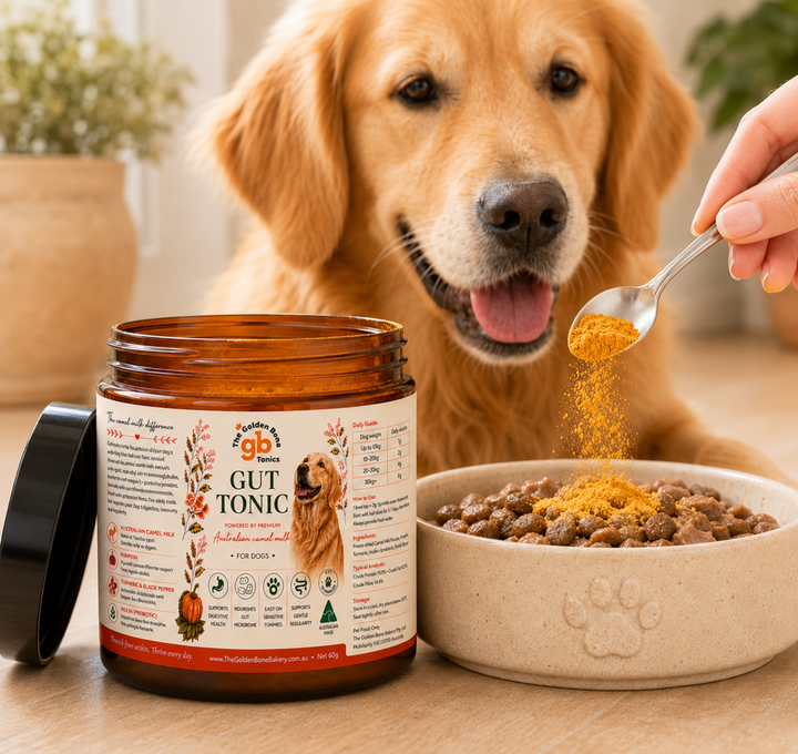 Gut Tonic | Australian Camel Milk | Gut Supplement for Dogs