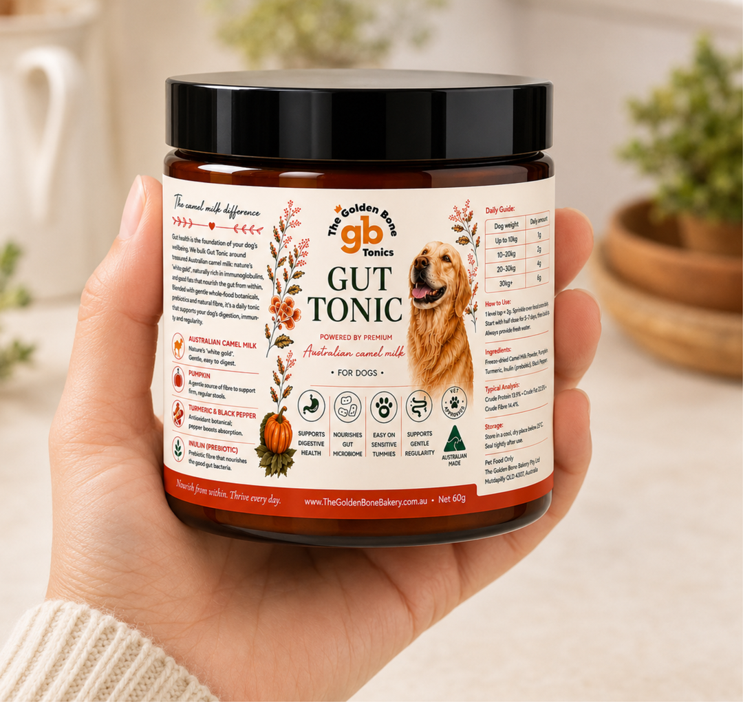 Gut Tonic | Australian Camel Milk | Gut Supplement for Dogs
