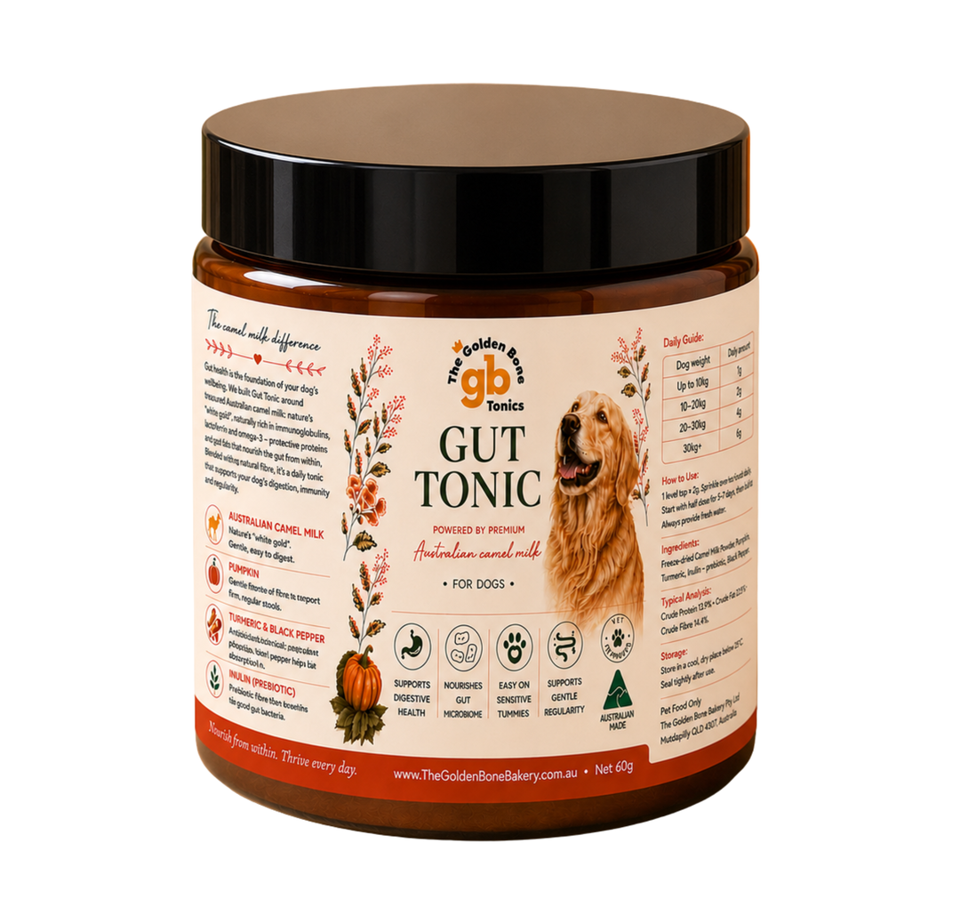 Gut Tonic | Australian Camel Milk | Gut Supplement for Dogs