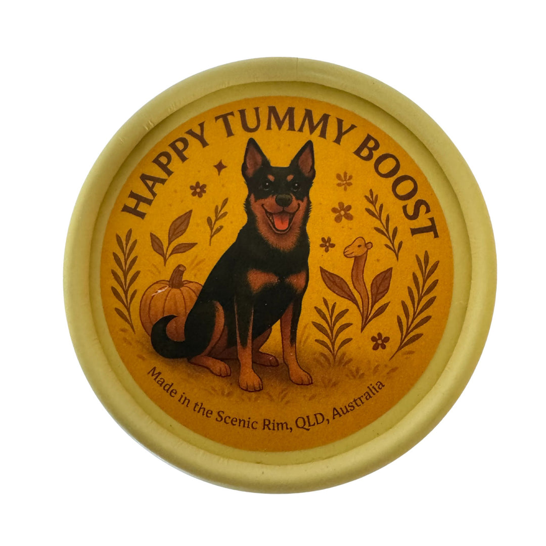 💛 Happy Tummy Boost
