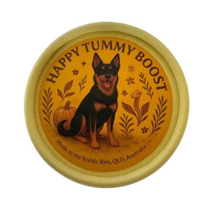 💛 Happy Tummy Boost